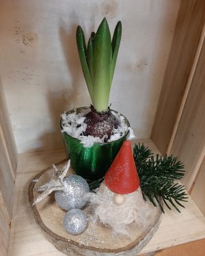 Jacinthe et sa déco de Noël